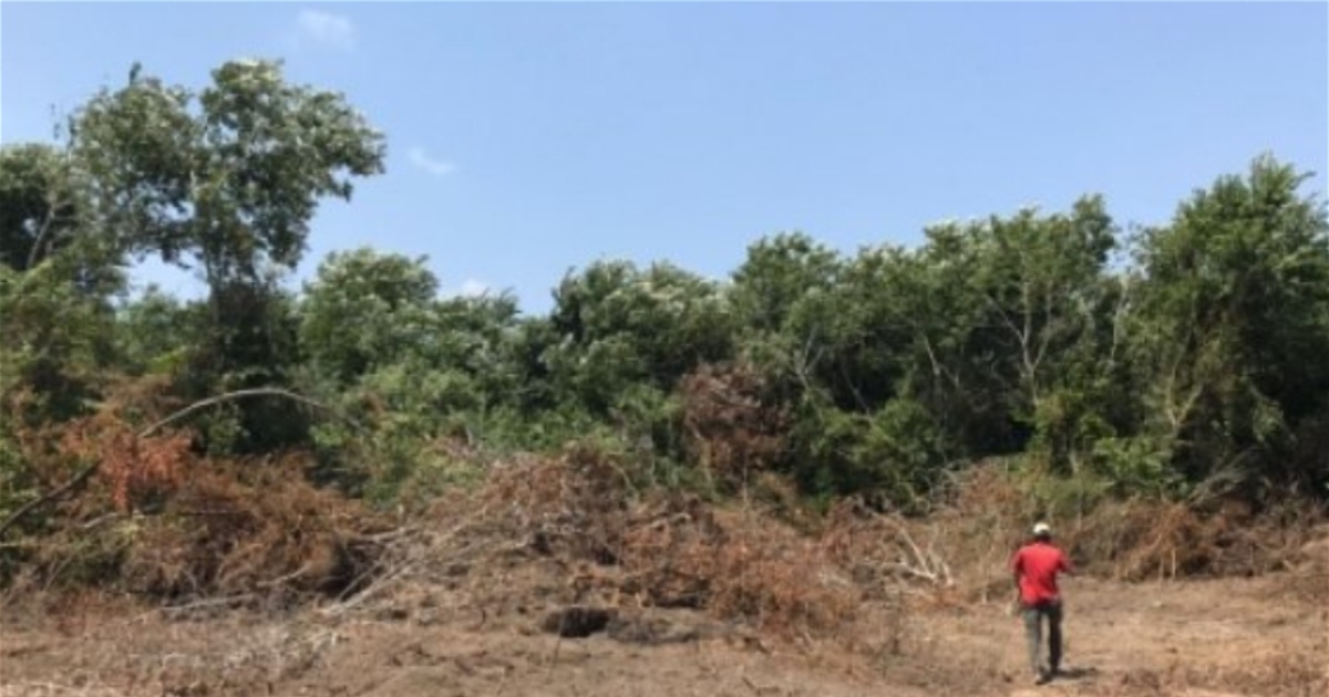Ecofront HaftoniylÉ™ baÄŸlÄ± hÉ™yÉ™can tÉ™bili Ã§alÄ±b 